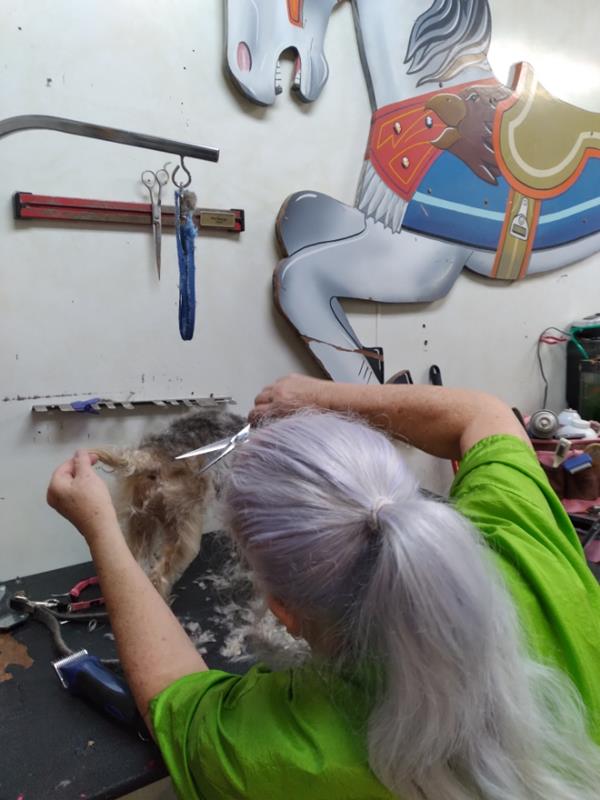 Pet Design Inc. Westminster, CO